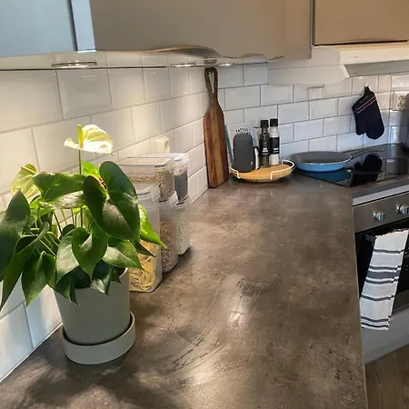 Sentral Og Koselig Haugesund