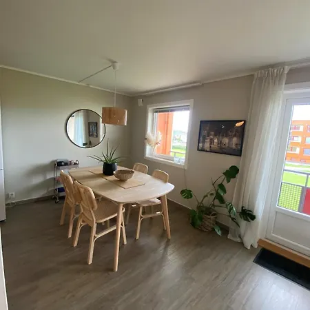 Daire Sentral Og Koselig *